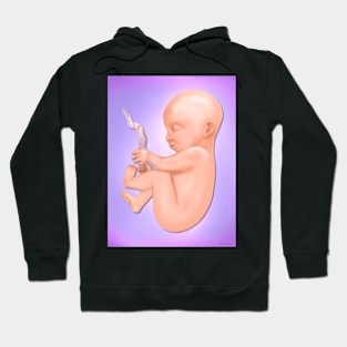 Fetus 7 Months Hoodie